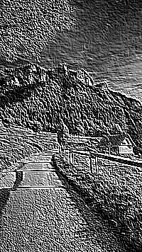 Skamielina