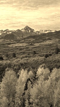 Sepia