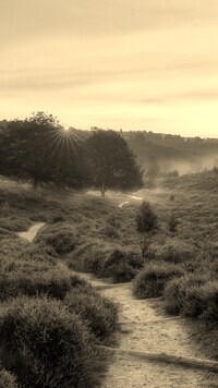 Szary + Sepia