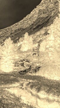 Sepia + Negatyw