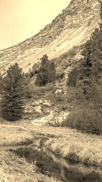 Sepia