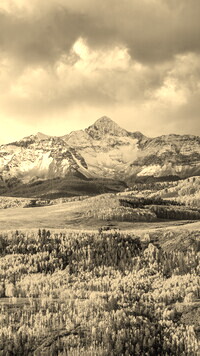 Szary + Sepia