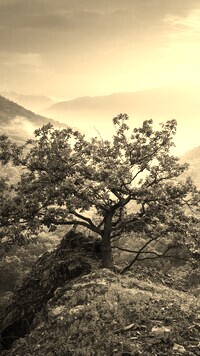 Szary + Sepia