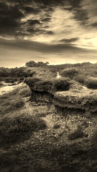 Sepia