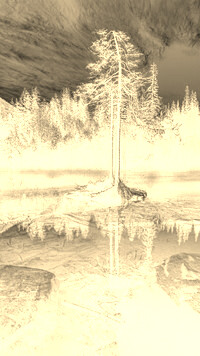 Sepia + Negatyw