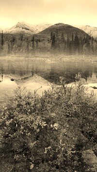 Sepia