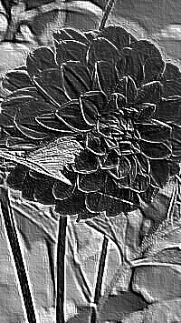 Skamielina