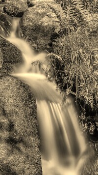 Sepia