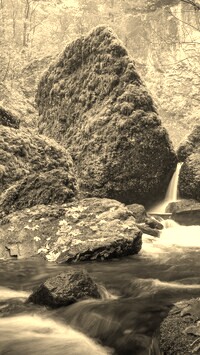 Szary + Sepia