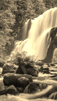 Sepia