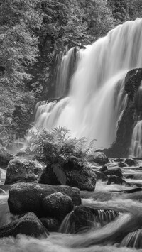 Szary