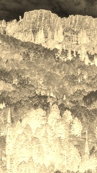 Sepia + Negatyw