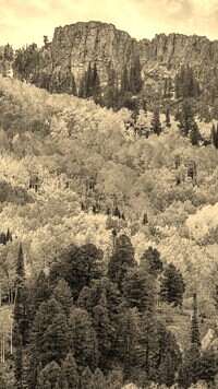 Szary + Sepia