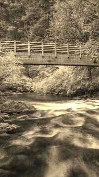 Sepia