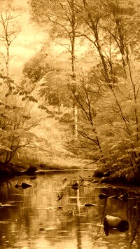 Sepia
