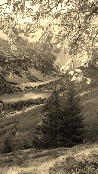 Szary + Sepia