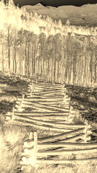Sepia + Negatyw