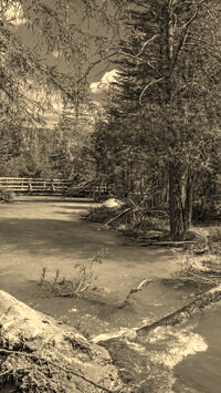 Sepia