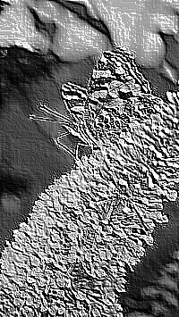 Skamielina