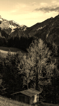 Sepia