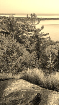 Szary + Sepia