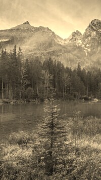 Szary + Sepia
