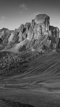 Szary