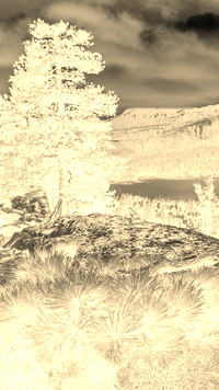 Sepia + Negatyw