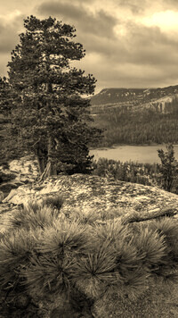 Sepia