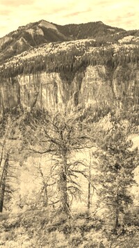 Szary + Sepia