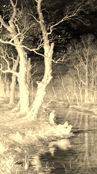 Sepia + Negatyw