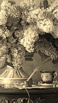 Szary + Sepia