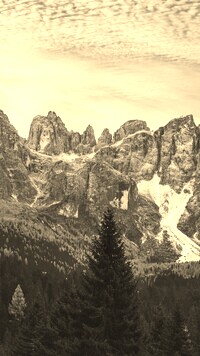 Szary + Sepia