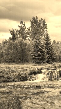 Sepia