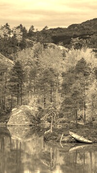 Szary + Sepia