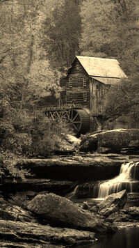 Sepia