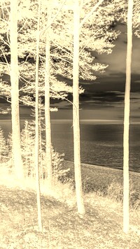 Sepia + Negatyw