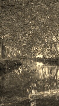 Szary + Sepia