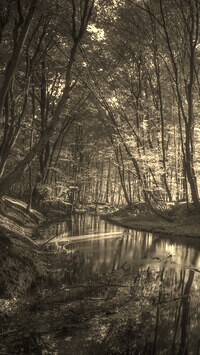 Szary + Sepia