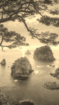 Sepia