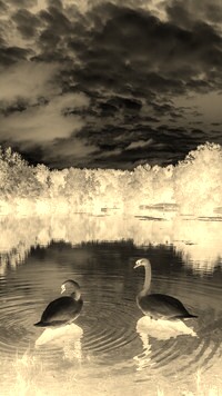 Sepia + Negatyw