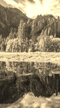 Szary + Sepia