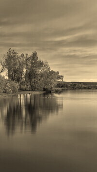Sepia