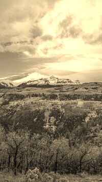 Szary + Sepia