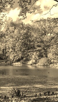 Sepia