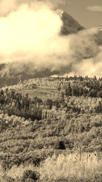Sepia