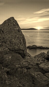 Szary + Sepia