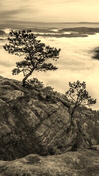 Szary + Sepia