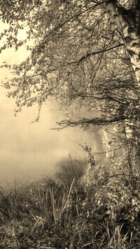Szary + Sepia