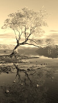 Szary + Sepia